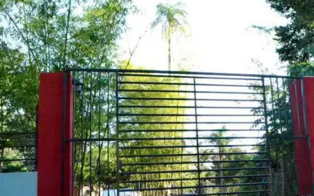 Complejo del Río