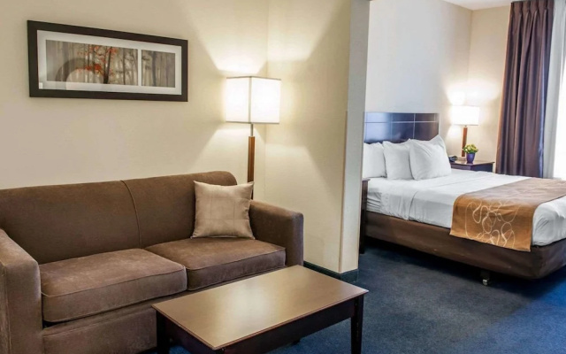 Comfort Suites South