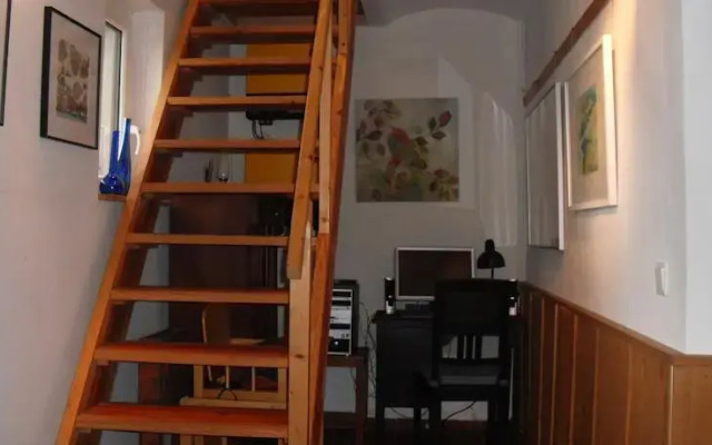Vogelgesang
