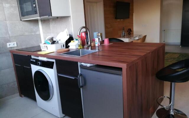 RIVER VIEW near FRANKFURT