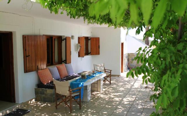 Traditional Olive House