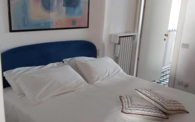 Gatto Bianco Bergamo 9