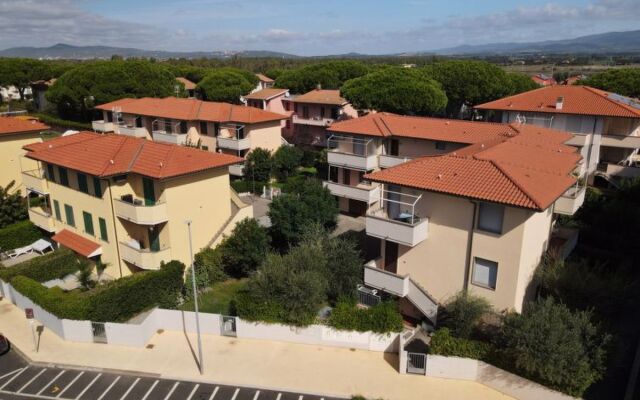 Palazzeta III (VAD151)