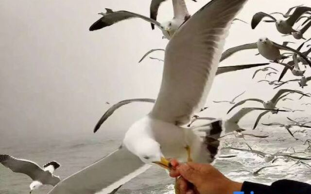 Qin Shen Yi Wang Hotel