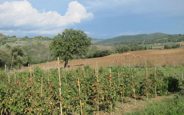 Agriturismo Podere Paugnano