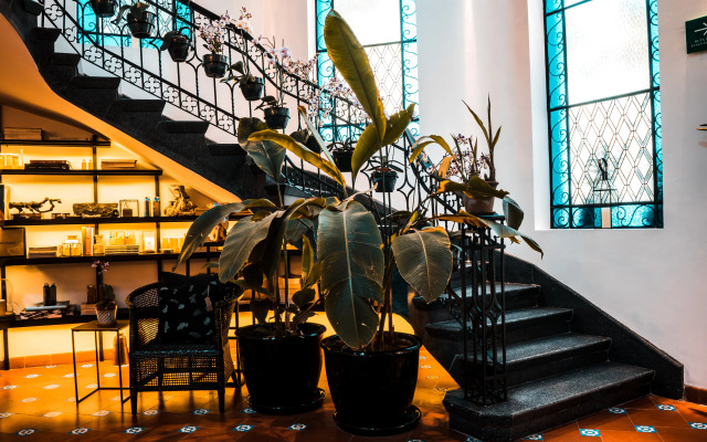 Orchid House Polanco