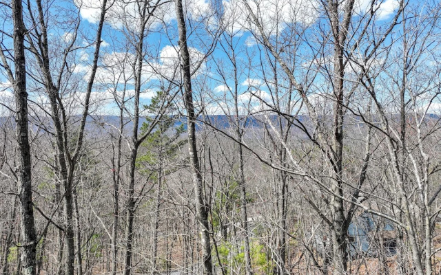 Pet-friendly Basye Vacation Rental w/ Fireplace!