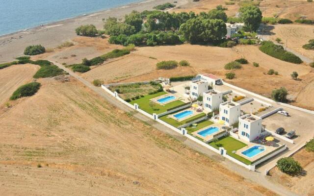 White Houses 1