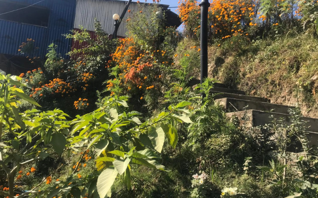 Sunrise Point Homestay