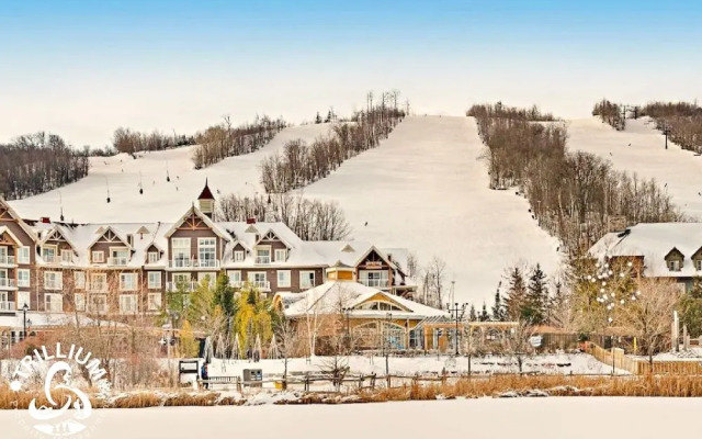 Cozy Studio Loft with 2 Bath