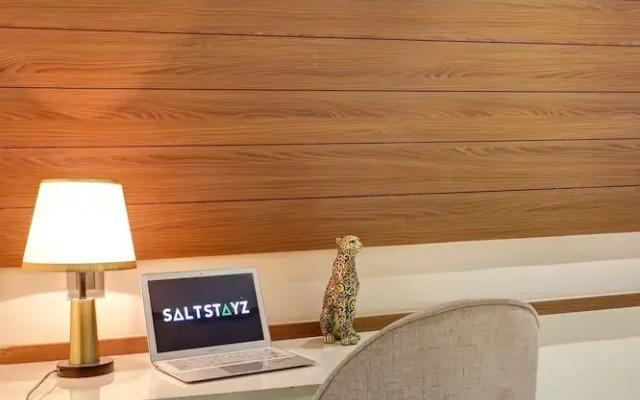 Saltstayz Premier - Mohali Chandigarh
