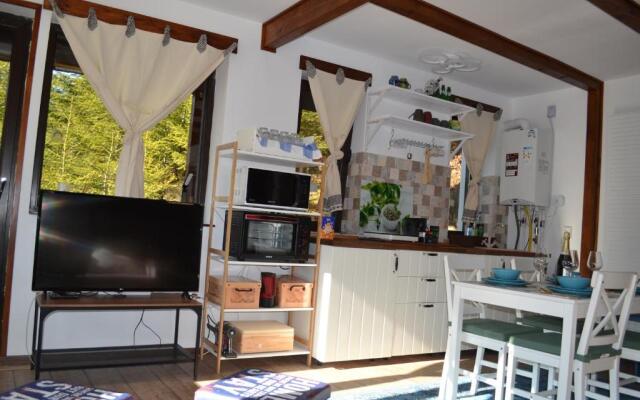 Studio Mirage@Snow Residence (ski & forest)
