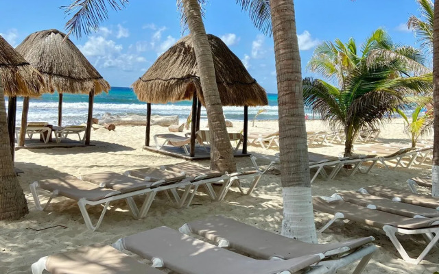 Hive Cancun