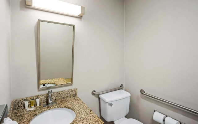 Microtel Inn & Suites by Wyndham Greensboro