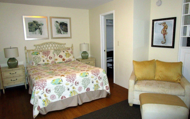 Seahorse Guesthouse