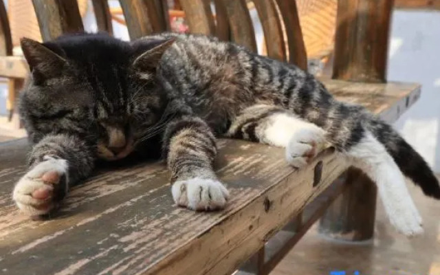 She De Yuan Boutique Homestay