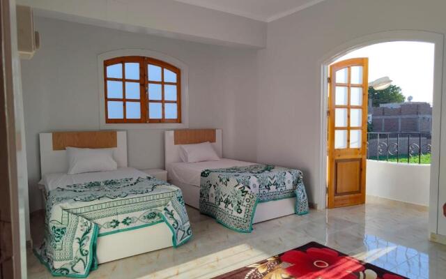 Lemon tree house, new spacious apartment