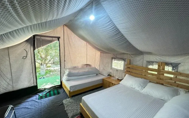 Apple Orchard Farm and Camping