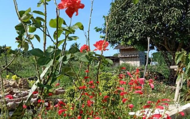 Rmb Guest House