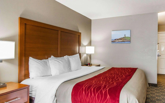 Comfort Inn Brunswick