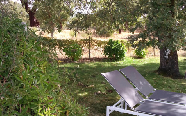 Vigias - Eternal Landscapes