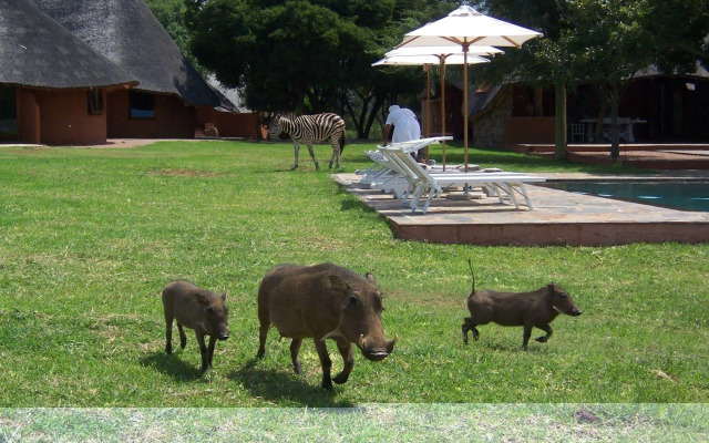 Zebras Crossing Lodge