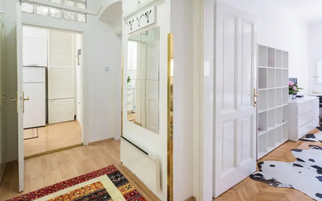Spacious 2bdr Apartment on Tkalciceva Street