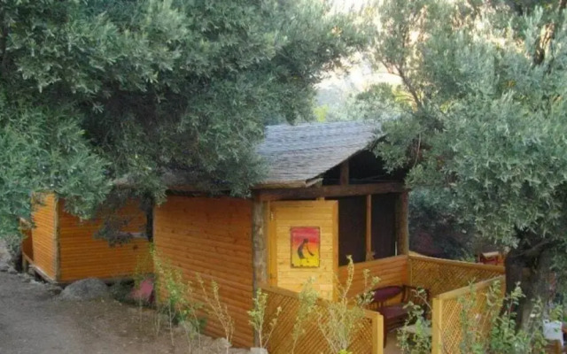 Shambala Lodge Hotel