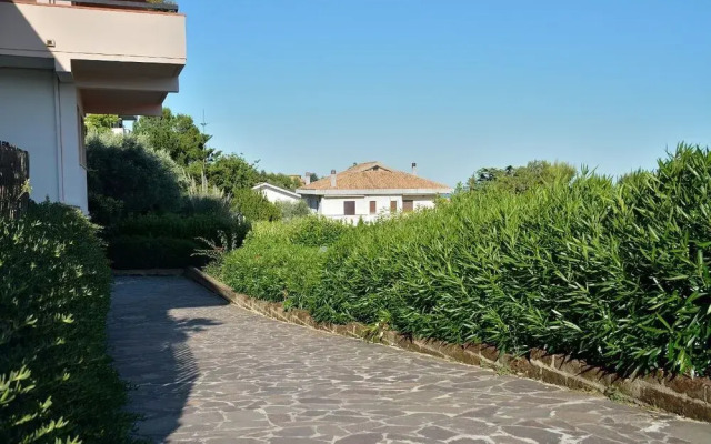 Paradiso A 4 Zampe - Villa Paradiso