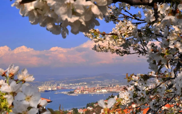 Razgled/The View