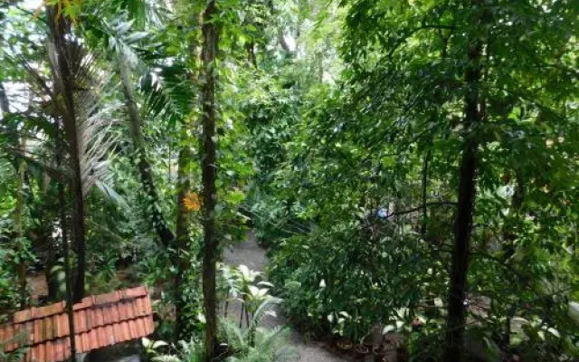 Green Woods Bethlehem