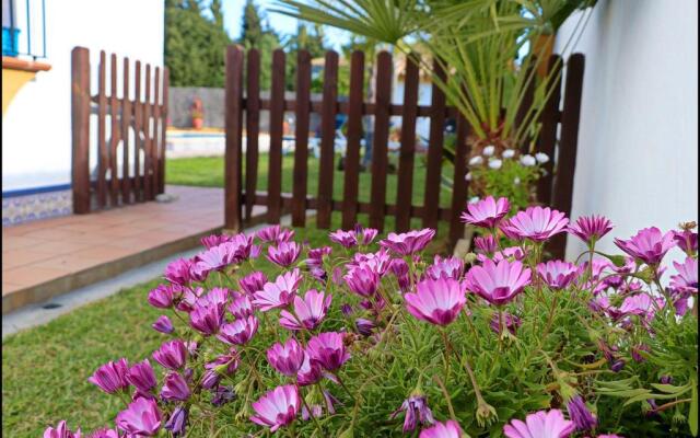Chalet con piscina en Roche Viejo