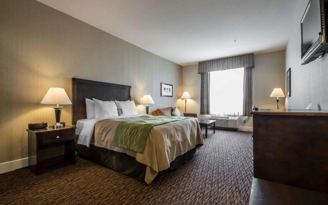 Comfort Inn Surrey Hotel