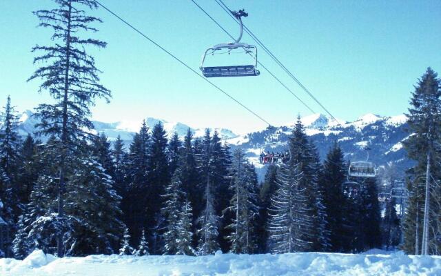 Manoir 3 appt Les Gets