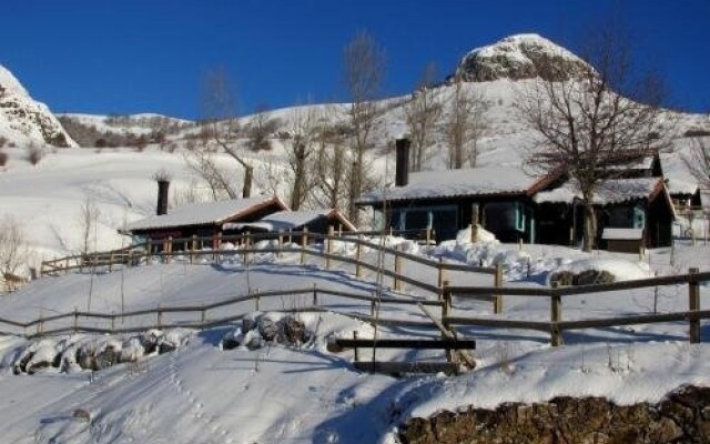 Cabañas Patagónicas