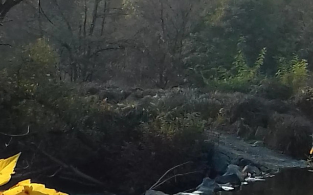 Studio apartman Trdina