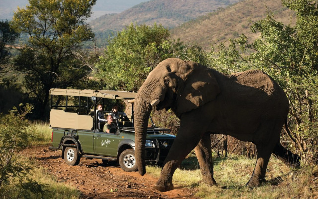 Kwa Maritane Bush Lodge