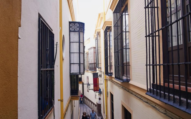 Santa Cruz Pearl by Valcambre