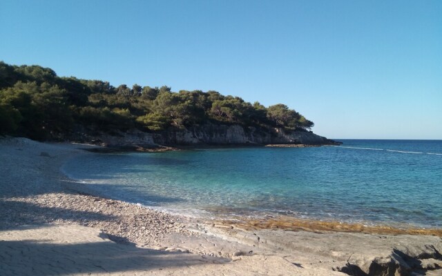 Victorious VIScovery Blue