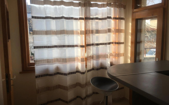 Stylish spacious flat