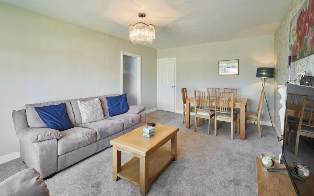 Host Stay White Rose