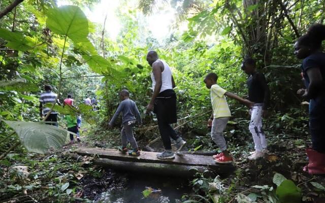 Bushbaby Lodge