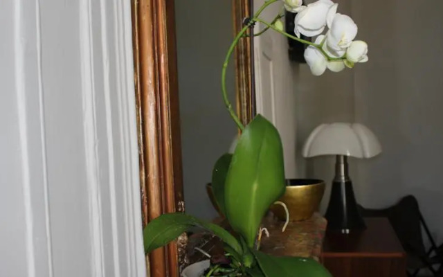 Palais des Rois dAragon