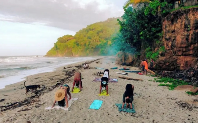 Tree of Life - Hostel