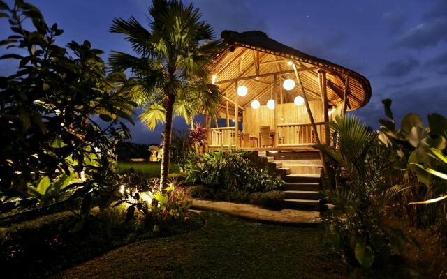 Padi Bali Eco Villas