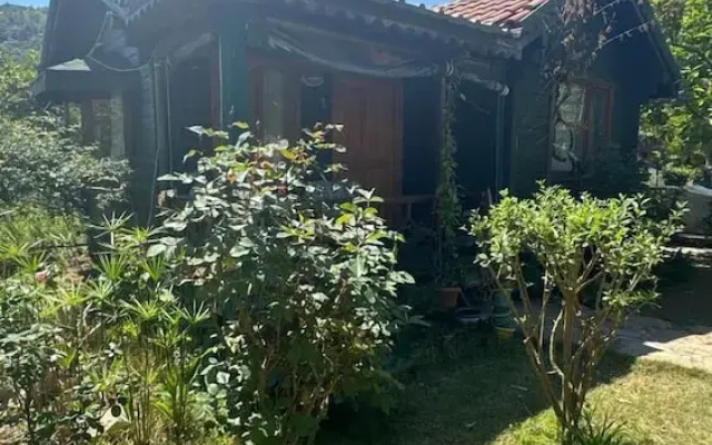 Turkuaz Bungalows