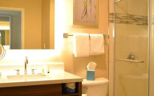 Pullman Plaza Hotel