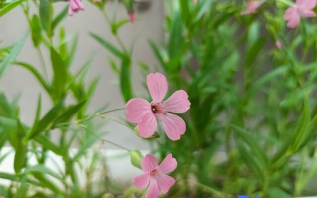 Po return. Slow talk