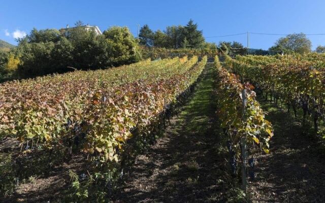 Agriturismo Gli Elfi