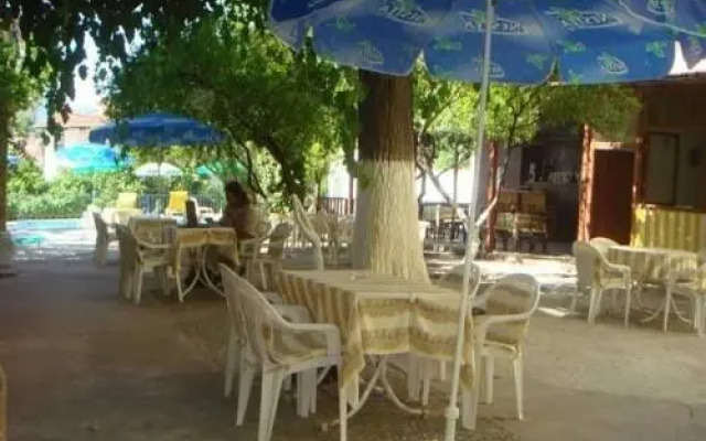 Naturel Pension